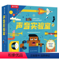 问题解决力养成STEAM科学盒子♥声音实验室 [正版] 问题解决力养成STEAM科学盒子-声音实验室会发声的科学实验书