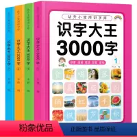 识字大王3000字 全4册 [正版]儿童看图识字大王1600到3000字幼儿园宝宝早教启蒙认知童书幼儿认字书籍绘本228