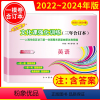 2022-2024年版领先一步 英语 上海 2022-2024年版领先一步 英语 [正版]2022-2024年版领先一步