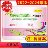 2022-2024年版领先一步 英语 上海 2022-2024年版领先一步 英语 [正版]2022-2024年版领先一步