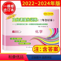 2022-2024 中考一模 化学 上海 2022-2024 中考一模 化学 [正版]2022-2024领先一步上海中考