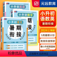 小升初 语数英 全3本 小学升初中 [正版]小升初暑假衔接语文数学英语上海版五四制暑期衔接名校小升初真题卷同步基础知识梳