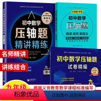 数学压轴题精讲精编+试卷+阅读探究新定义 9年级.3本套 初中通用 [正版]初中数学压轴题精讲精练试卷精编七年级八年级九