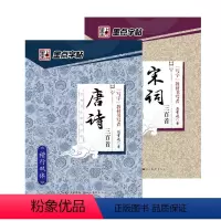 [正版]唐诗三百首楷行双体+宋词三百首 2册墨点字帖唐诗宋词楷书行书字帖高中学生成人入门古诗词诗歌钢笔练字帖硬笔字帖钢