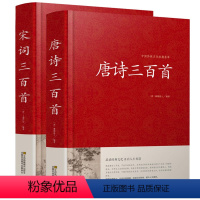 唐诗宋词三百首 [正版]2册 唐诗三百首+宋词三百首大全集 国学典藏原文译文注解赏析唐词宋词三百首大全 唐诗宋词元曲鉴赏