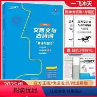 高考文言文与古诗词背诵与默写 天 津 [正版]2025新版一飞冲天高考文言文与古诗词背诵与默写 文言文阅读+古诗词鉴赏+