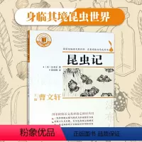 [正版]快乐读书吧阅读八年级上册昆虫记名著阅读力养成丛书曹文轩主编阅读科普图书儿童文学浙江文艺出版