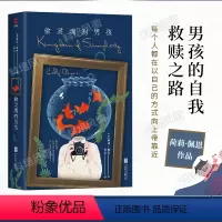 偷灵魂的男孩 [正版]偷灵魂的男孩 荷莉·佩恩著 长篇小说 偷灵魂的男孩 一个有关信仰与宽恕的故事 继处女情结后又一获多