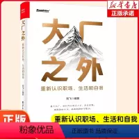 大厂之外:重新认识职场、生活和自我 [正版]大厂之外:重新认识职场、生活和自我 怎么做正确的事情 职场个人收入与期