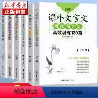 现代文 8年级 初中通用 [正版]初中课外文言文阅读周计划高效训练120篇 七八九年级现代文阅读周计划 789年级 华东