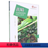 [正版]助力乡村振兴出版计划 现代种植业实用技术系列 黄精优质高效栽培与加工技术