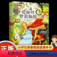 [正版]精装 爱丽丝梦游仙境书 爱丽丝漫游奇境记 原著全译本中文版儿童文学三四年级小学生版初中生版 课外读物书籍