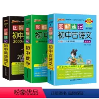 古诗文+数学+英语词汇3本 初中通用 [正版]2024图解速记初中古诗文RJ人教版七八九年级语文古诗词全解一本通文言文翻
