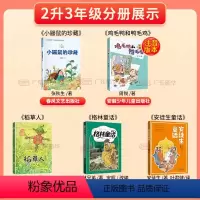 [全5册]二升三年级 [正版]2024广东天天共读暑期快乐读书吧二升三年级全5册 格林童话安徒生童话稻草人(注音彩绘版)