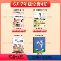 [全4册]六升七年级 [正版]2024广东天天共读六升七年级全4册 砂粒与星尘安徽少年儿童出版社居民楼里的时光 云端小学