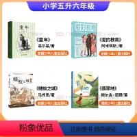 [全4册]五升六年级 [正版]2024内蒙古天天共读五升六年级书香共读课外阅读书 童年书 爱的教育 翡翠地 蝼蚁之城 快