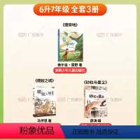 [全3册]六升七年级 [正版]2024河南天天共读六升七年级课外书 翡翠地 蝼蚁之城 砂粒与星尘 安徽湖南少年儿童出版社