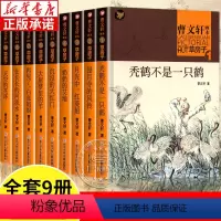 曹文轩画本草房子(共9册) [正版]曹文轩草房子画本系列全套9册 天空的花环在长长的河流上秃鹤红菱船三四五六年级课外书小