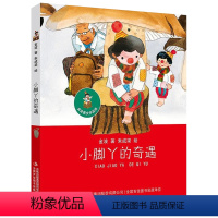 金波美文作品选 小脚丫的奇遇 [正版]2024年广东省寒假读一本好书 小脚丫的奇遇注音版 金波温馨童话美绘本 小学生一二