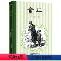 童年 [正版]童年书高尔基 安徽少年儿童出版社 郑海凌译 2024广东湖南内蒙古天天共读书香五升六年级上册快乐读书吧 小