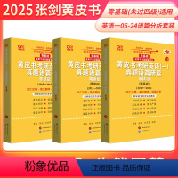 2025真题语篇分析05-24年 英一零基础 [正版]新版语篇研读2025张剑黄皮书考研英语真题语篇研读2005-202