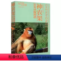 [正版] 神农架 常见动物图谱 谢志雄 高等教育出版社