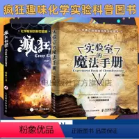 [正版]疯狂化学+实验室的魔法手册 无机大学化学趣味青少年物理化学科普基础入门书籍