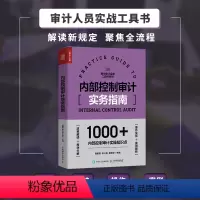 [正版]内部控制审计实务指南 内部控制审计工具书 一线审计工作者操刀 近百个实战图表模板示例 1000+内控审计实操知