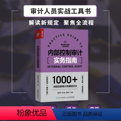 [正版]内部控制审计实务指南 内部控制审计工具书 一线审计工作者操刀 近百个实战图表模板示例 1000+内控审计实操知
