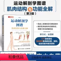 [正版]运动解剖学图谱 肌肉结构与功能全解第3版