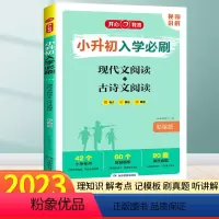 现代文阅读+古诗文阅读 小学升初中 [正版]2023新 小升初阅读理解专项训练人教版 现代文阅读+文言文阅读与训练小学升