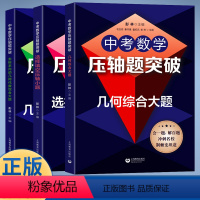 压轴题突破 全套3册 初中通用 [正版]中考数学压轴题突破几何综合大题/选择填空压轴小题/坐标系内的几何代数综合大题 初