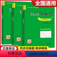 七八九年级数学压轴题 共3册 初中通用 [正版]挑战压轴题七八九年级初一二三上下册同步压轴题练习册基础知识大全举一反三初