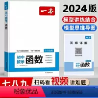 初中数学函数 初中通用 [正版]2024新版七八九年级初中数学函数中考数学 789年级数学专项专题训练讲解函数的基础一次