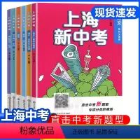 上海新中考 语数英物化 上海 [正版]全新版 上海新中考语文现代文阅读文言文阅读数学英语物理化学华东师范大学出版社中考新
