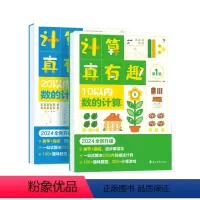 计算真有趣·20以内(2024新升级版) [正版]学而思店店学而思计算真有趣小中大班数学同步计算天天练10以内20以内加