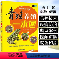 [正版]青蛙养殖一本通 青蛙养殖技术书籍食用蛙高效养殖技术大全疾病防治科学饲养书食用蛙高效养殖青蛙人工养殖技术稻田牛蛙