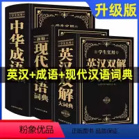 [正版]2024升级版英汉双解大词典中小学生实用多功能英语词典成语词典初中高中考英语单词英汉互译牛津英语字典现代汉语词