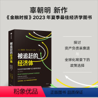 [正版]被追赶的经济体 发达经济体如何理解与应对新现实挑战 辜朝明新作 探讨资产负债表衰退与全球化背景下的政策选择