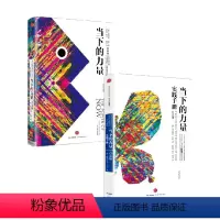 [正版]当下的力量系列 套装2册 埃克哈特·托利 著 励志