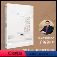 双桨鸿惊 企业价值观与数字化的力量 [正版]双桨鸿惊 于英涛 著 管理