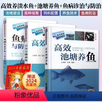 [正版]养鱼技术书 大全一本通 草鱼养鱼书籍 高效养淡水鱼+高效池塘养鱼+鱼病快速诊断与防治技术3册如何养殖水产图谱书