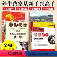 [正版]养牛套装全4册 养牛技术书籍大全牛病类症鉴别与诊治肉牛养殖技术书黄牛诊疗与处方手册牛饲料配方书科学养牛西门塔尔