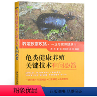 [正版]龟类健康养殖关键技术有问必答 高效养龟鳖水产养殖书籍大全轻松掌握龟鳖健康养殖书大全 乌龟养殖书 养龟与疾病防治