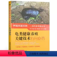 [正版]龟类健康养殖关键技术有问必答 高效养龟鳖水产养殖书籍大全轻松掌握龟鳖健康养殖书大全 乌龟养殖书 养龟与疾病防治