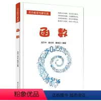 函数 [正版]函数 初中数学专题突破中学教辅 数学基础知识 中学生数学自学教程 初中知识清单 初中数学专题突破 中学数学