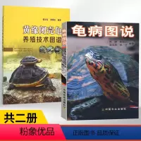 [正版]龟病图说+黄缘闭壳龟养殖技术图谱 全2册养龟书籍乌龟养殖书宠物乌龟高效养殖龟肠胃炎的书龟病防治龟类图鉴养好宠物