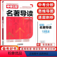 中考1号 名著导读 天津 [正版]天津中考1号名著导读语文名著天津备考好书中考一号逐层剖析附赠专项集训天津科学技术出版社