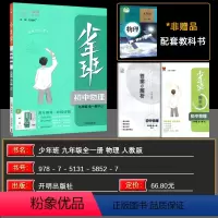 物理 九年级/初中三年级 [正版]2024秋版少年班九年级物理人教版全一册培优同步课时练一课一练提升拓展综合练习册 答案