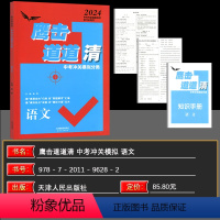 语文 九年级/初中三年级 [正版]2024版 鹰击长空中考语文 鹰击长空中考冲关模拟分类道道清语文中考版 据真题走向归类